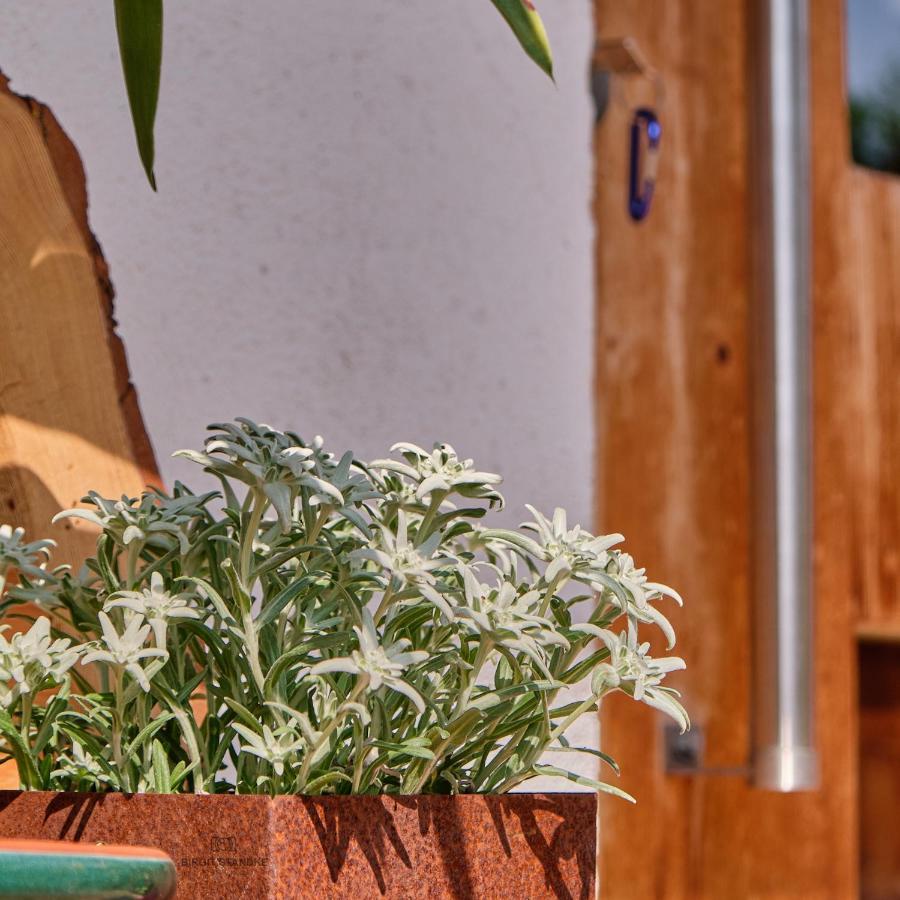 Haus Lorea Έρβαλντ Εξωτερικό φωτογραφία